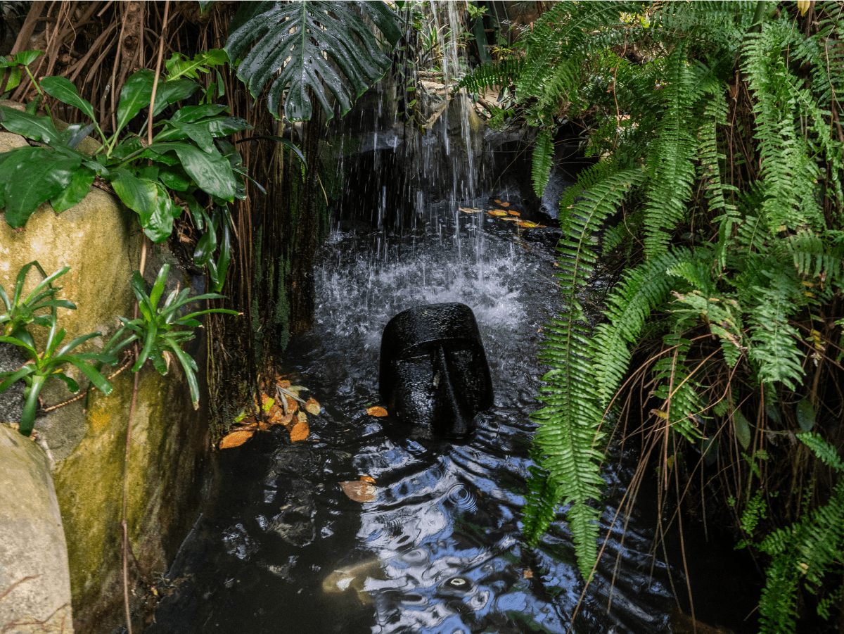 Tropical Chair Yoga at Victoria Butterfly Gardens