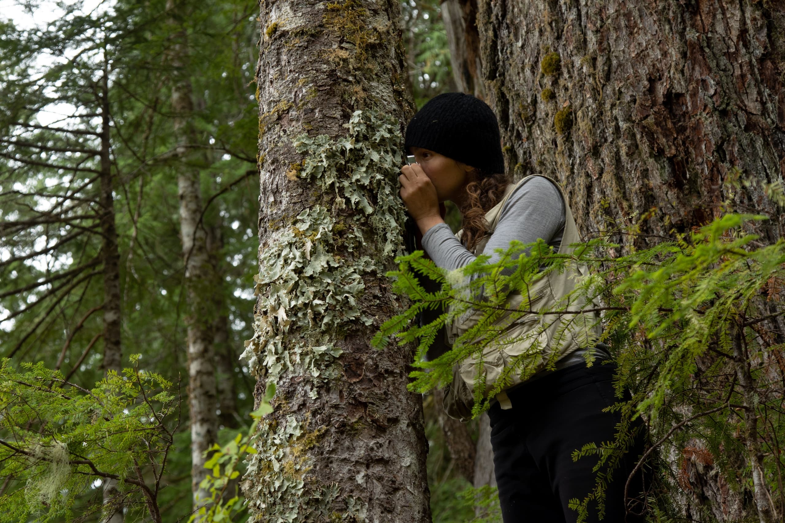 Guided Lichen Walk at Christmas Hill with Tasha Lavdovsky at Swan Lake Christmas Hill Nature Sanctuary