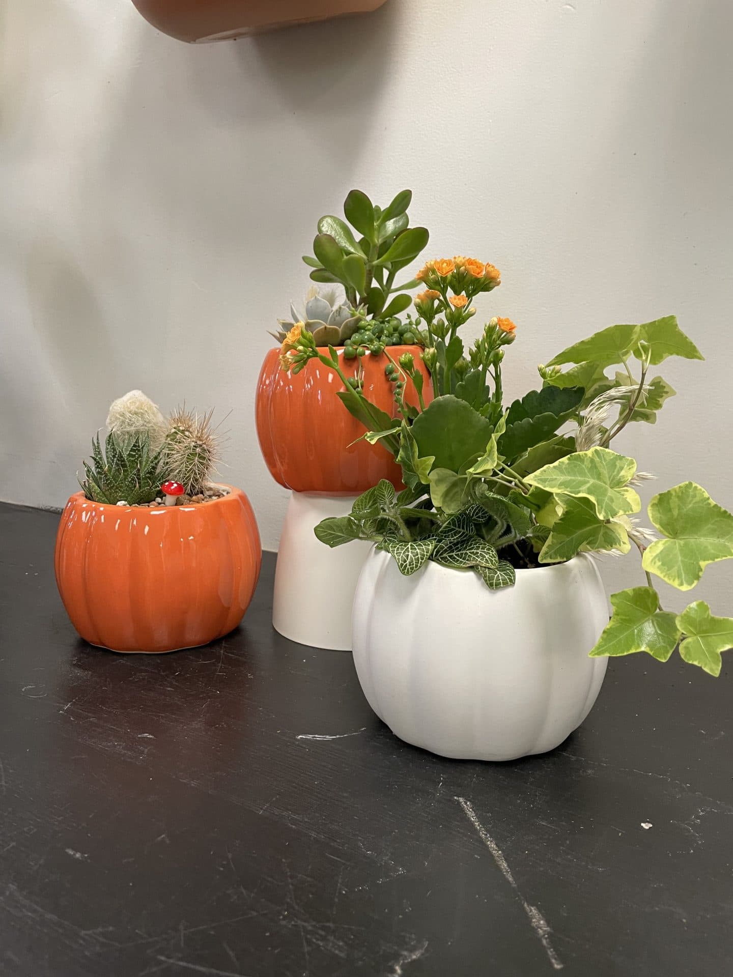 Ceramic Pumpkin Planter Workshop at Cannery Brewing at Cannery Brewing