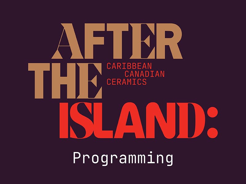 After the Island: Artist Panel at Gardiner Museum