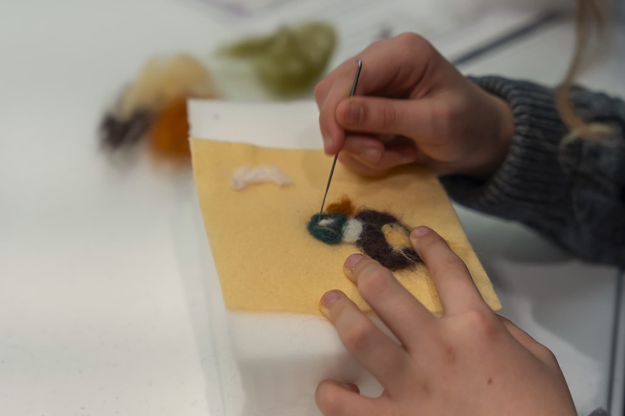 Winter Crafternoon: Nature-Themed Felting at Swan Lake Christmas Hill Nature Sanctuary
