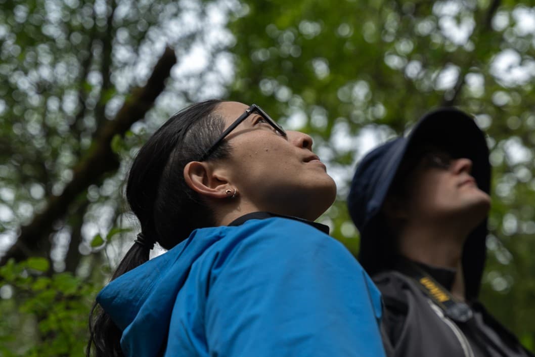 Forest Bathing at Swan Lake at Swan Lake Christmas Hill Nature Sanctuary