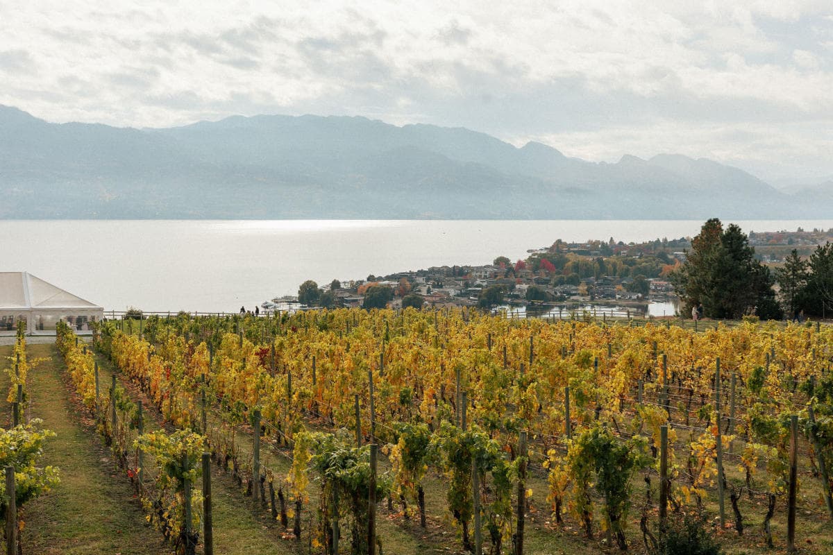 Harvest Celebration Tour & Tasting at Quails' Gate Winery