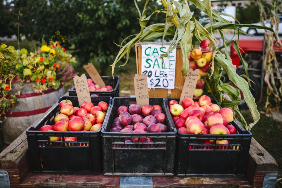 Vernon Farmers Market At The Ranch at Historic O'Keefe Ranch
