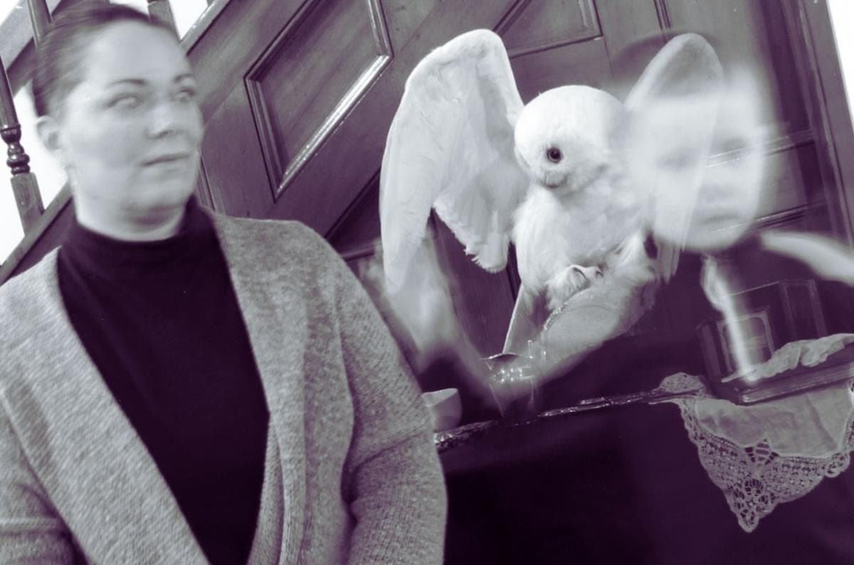 Craft & Chat: Spirit Photography at Okanagan Heritage Museum