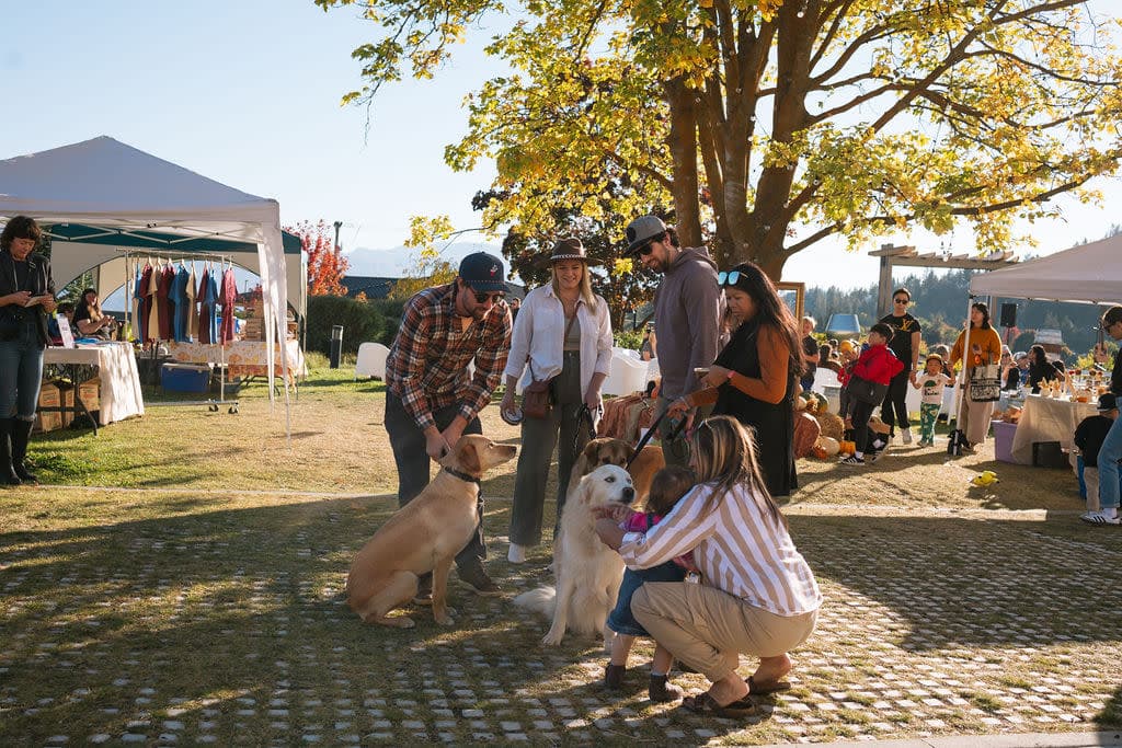 Fall Fest: Thanksgiving Weekend Celebration at Grizzli Winery