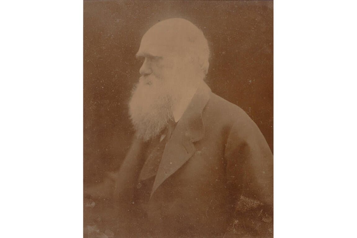 All Netted Together: Charles Darwin, Alfred Russel Wallace, and the Social Life of a Theory at Nickle Galleries