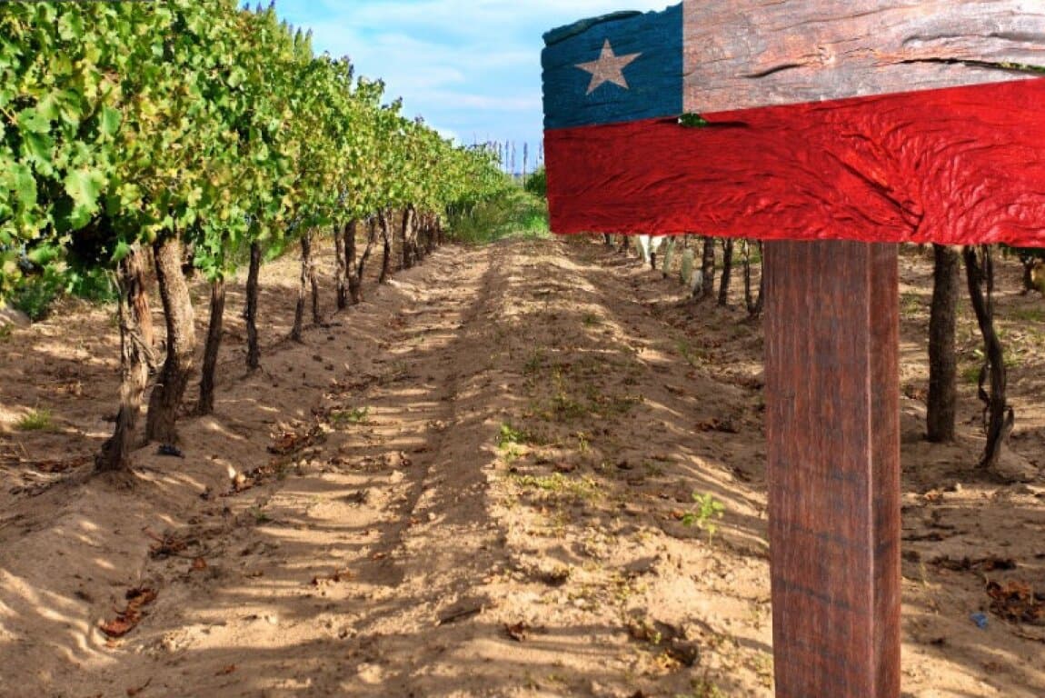 From the Andes to the Ocean: A Look at Chilean Wines at Calgary