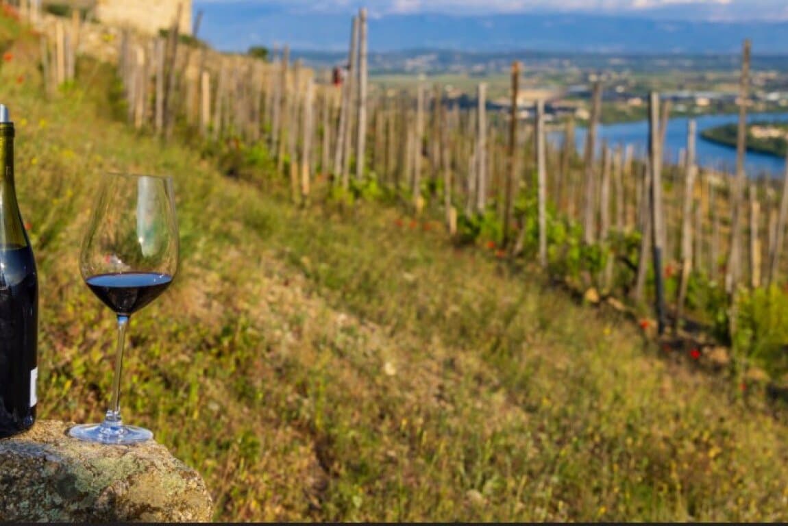 Wines of the Northern Rhône at Calgary