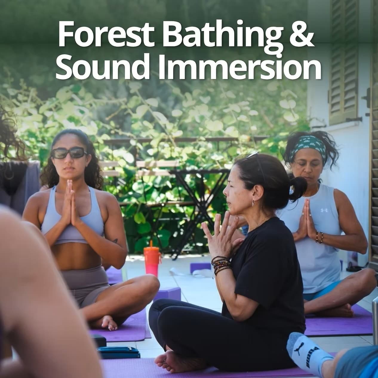 The Art of Presence: Forest Bathing and Sound Immersion at Small Arms Inspection Building