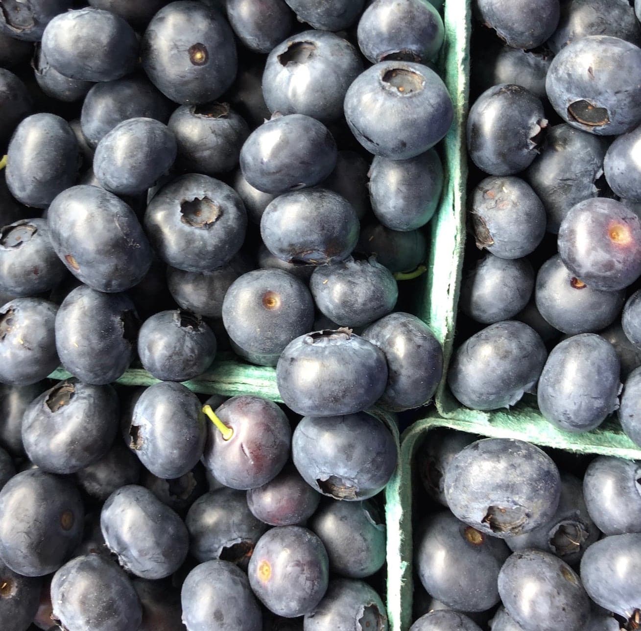 Amara Farm in Courtenay