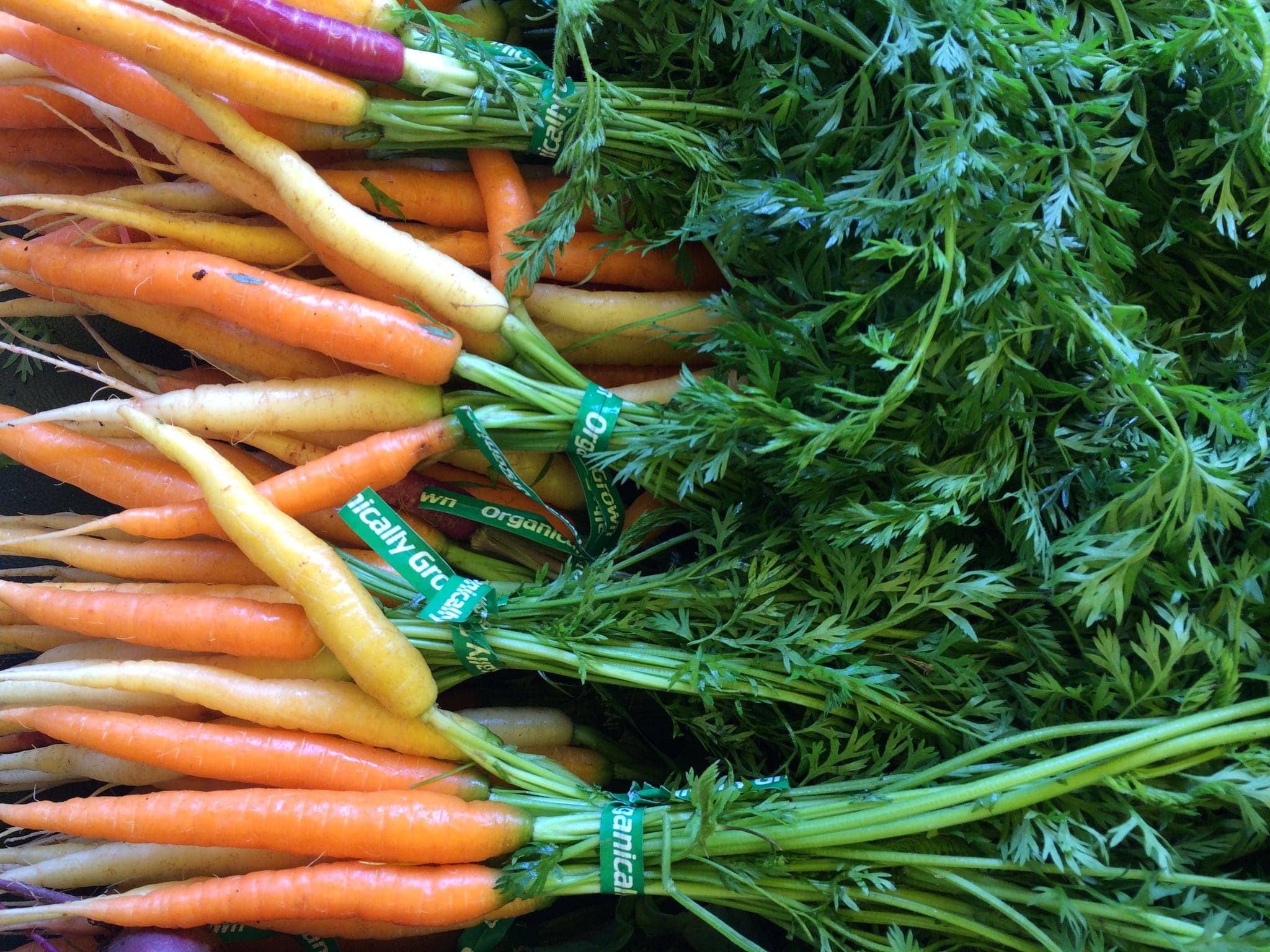 Kitsilano Farmers Market in Vancouver