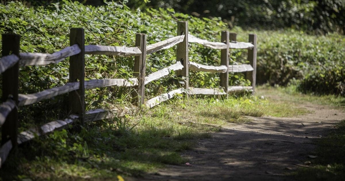 Redwood Park Fairy Forest in Surrey · Metro Vancouver