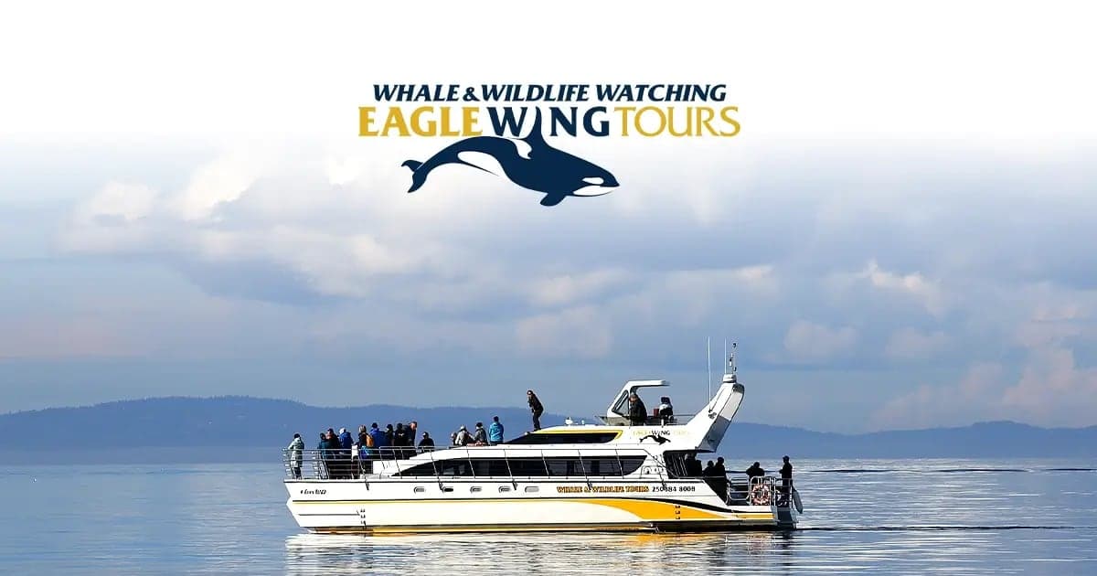 Eagle Wing Whale & Wildlife Tours in Victoria · Vancouver Island