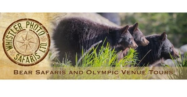 Whistler Photo Safaris Bear Tours in Whistler · Metro Vancouver