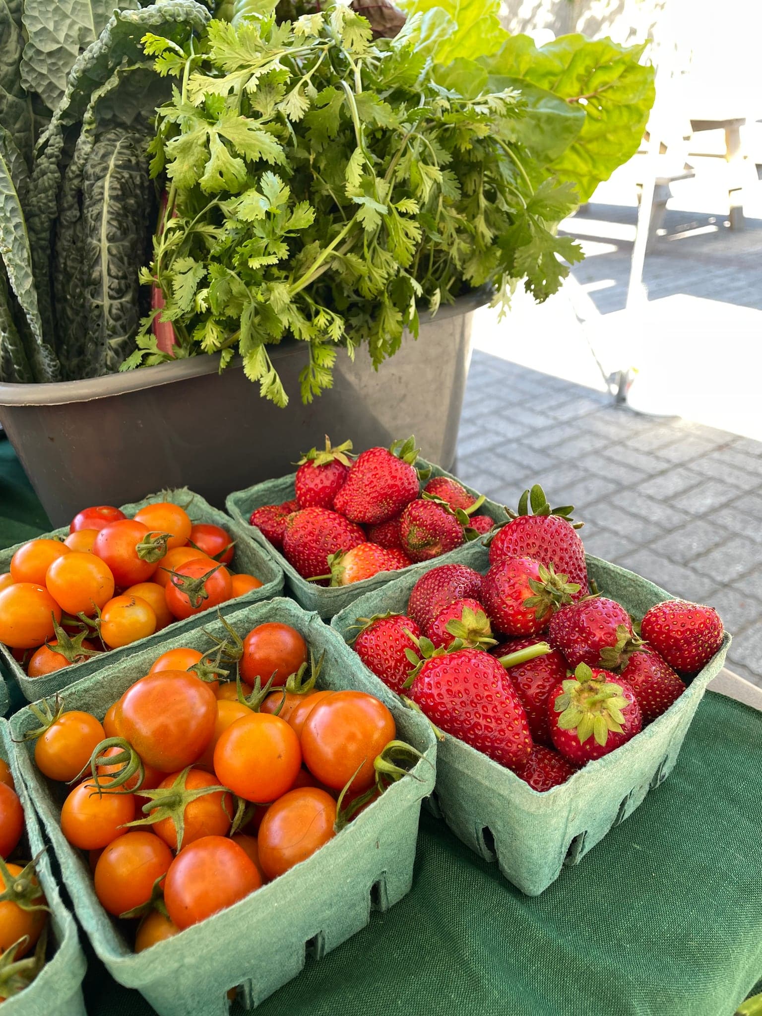 Kentville Farmers Market in Kentville