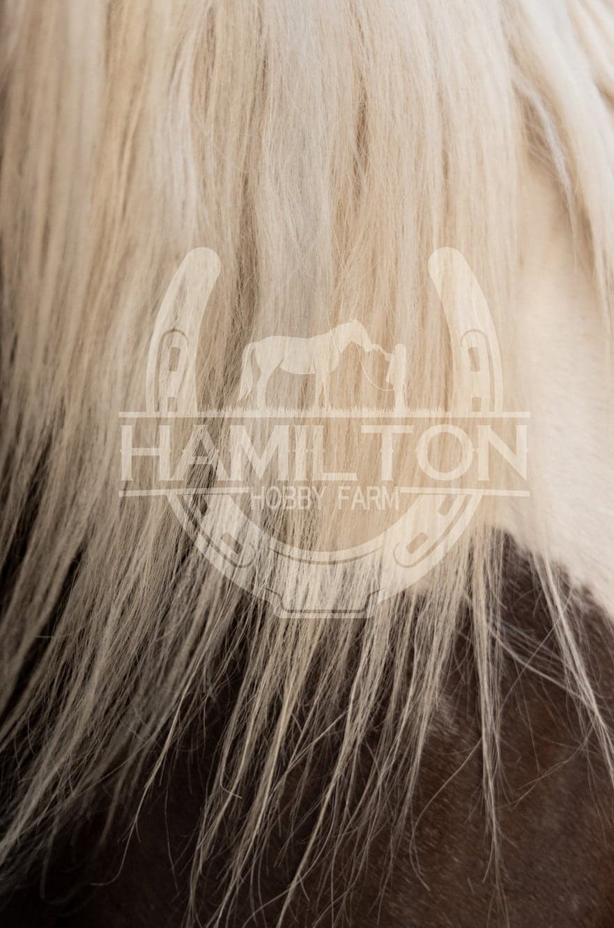 Hamilton Hobby Farm in Qualicum Beach · Vancouver Island