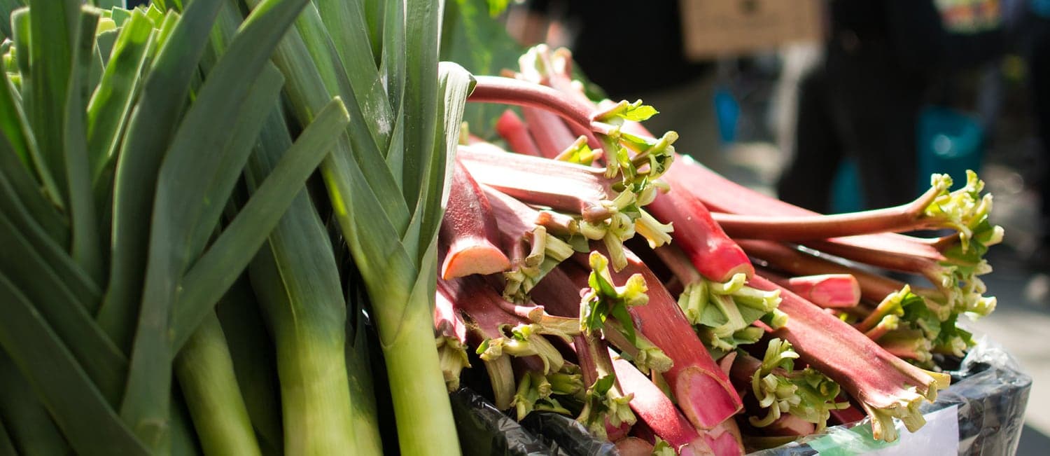 Trout Lake Farmers Market in Vancouver · Metro Vancouver