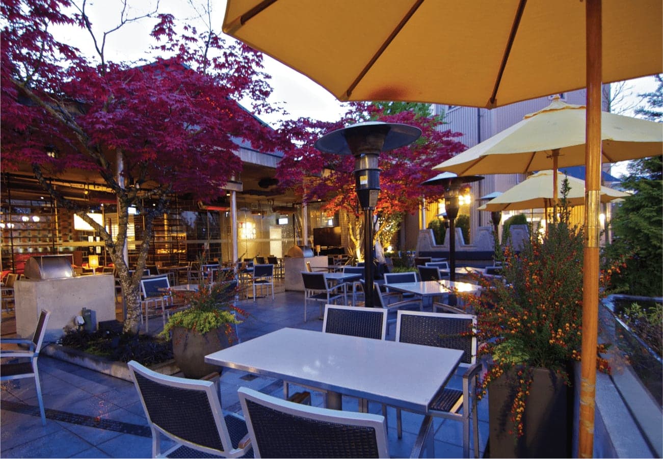 Cactus Club Cafe in West Vancouver · Metro Vancouver