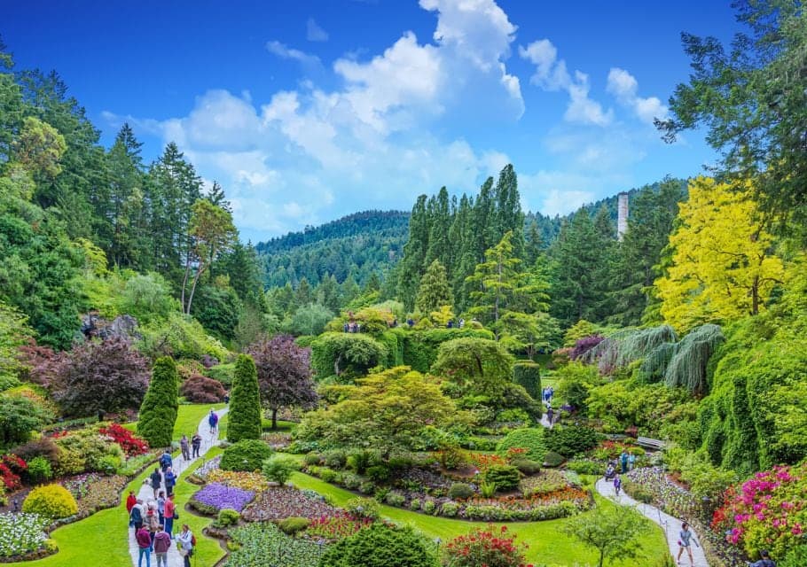 Vancouver Whistler & Victoria Tours in Vancouver · Metro Vancouver