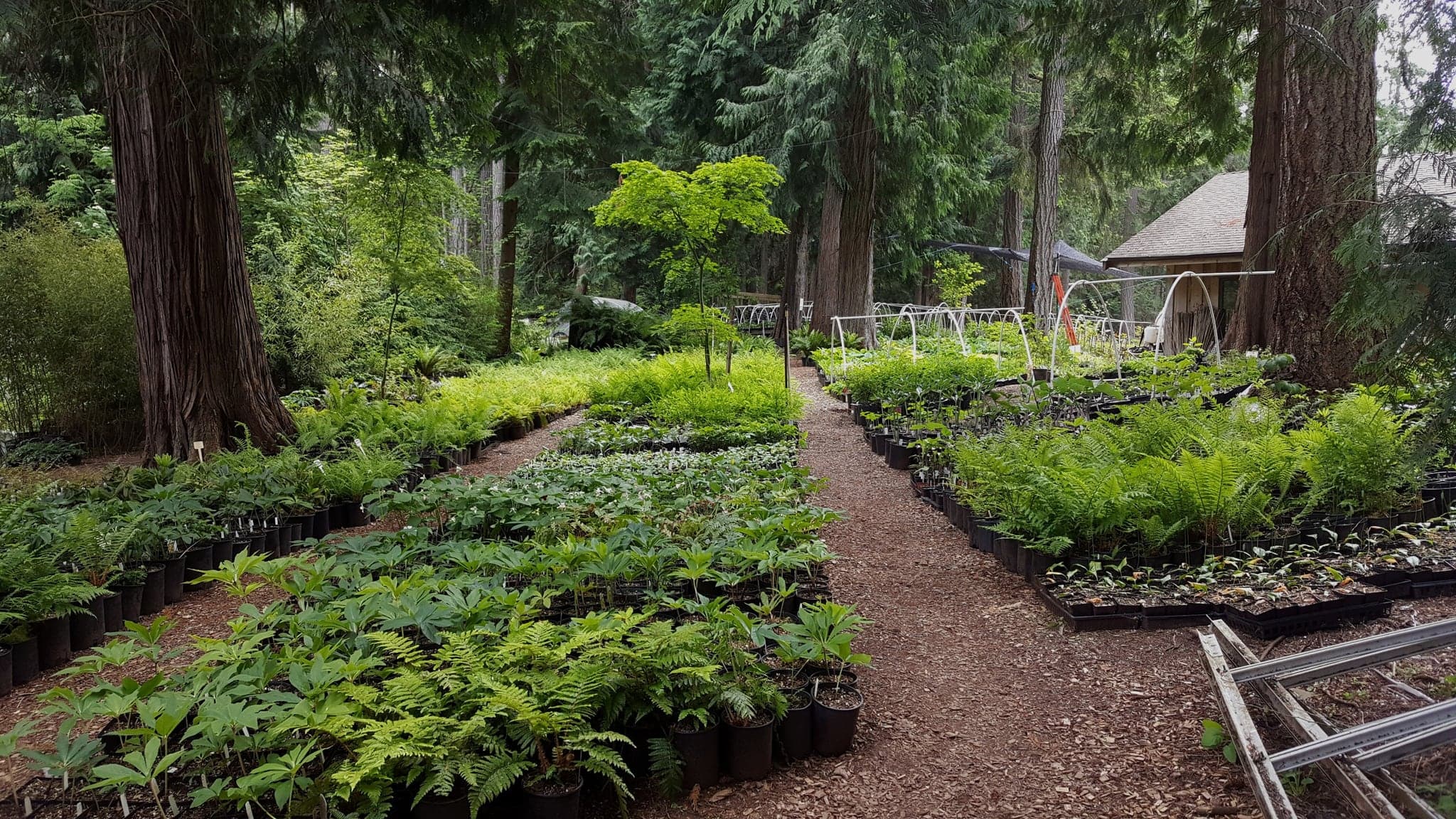 Fraser's Thimble Farm in Chemainus · Vancouver Island