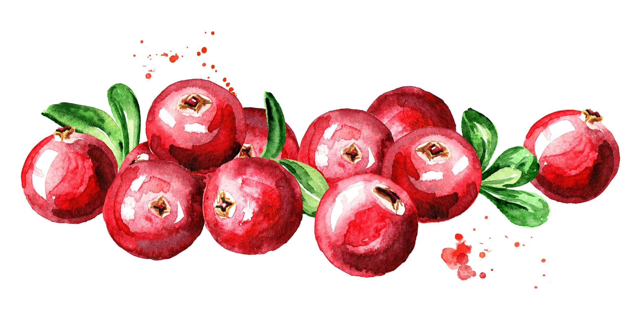 Yellow Point Cranberries in Chemainus · Vancouver Island