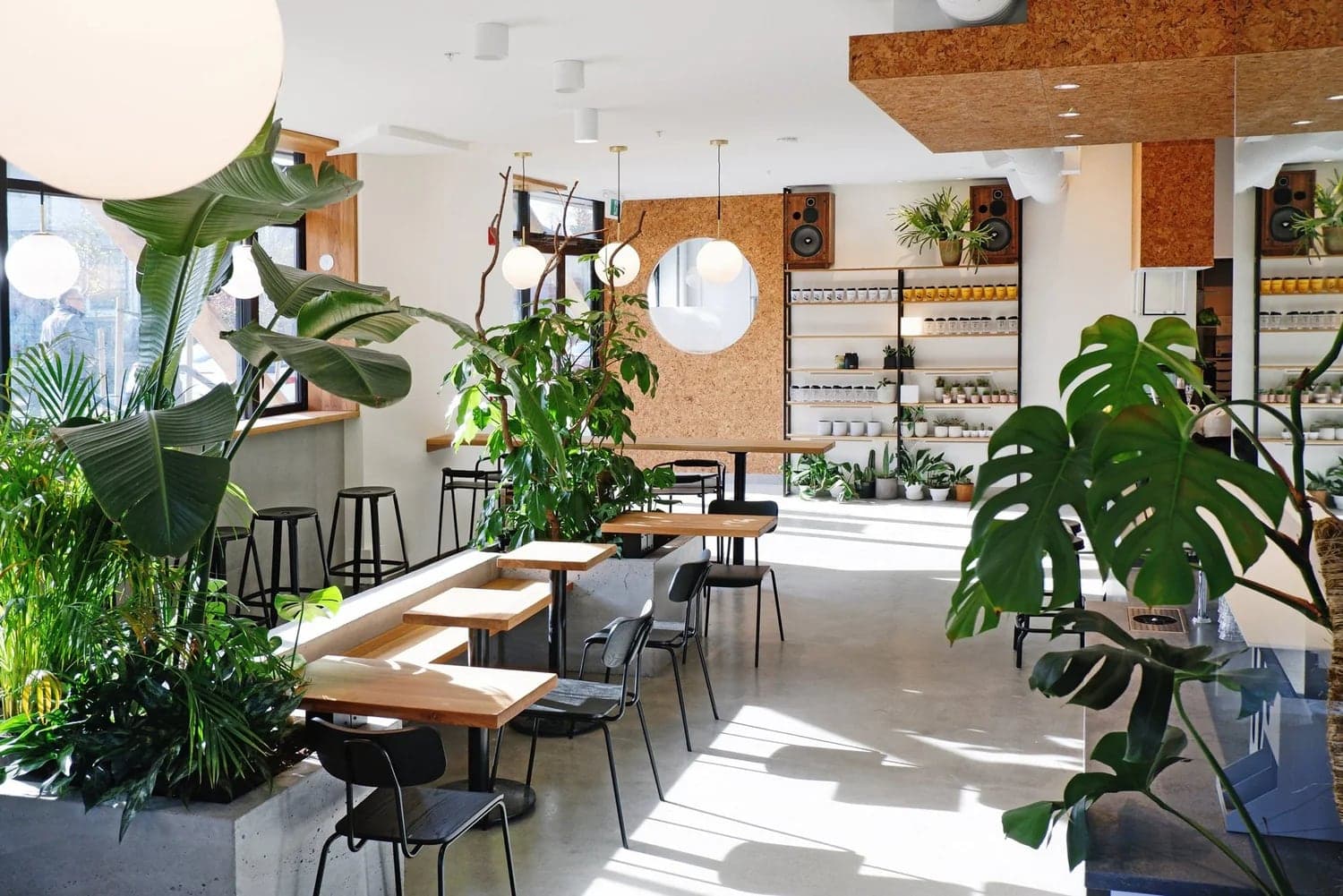 NOMAD Coffee & Bakery in North Vancouver · Metro Vancouver