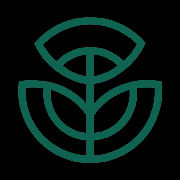 Canela Vegan Bakery & Cafe in Calgary · Calgary & the Rockies