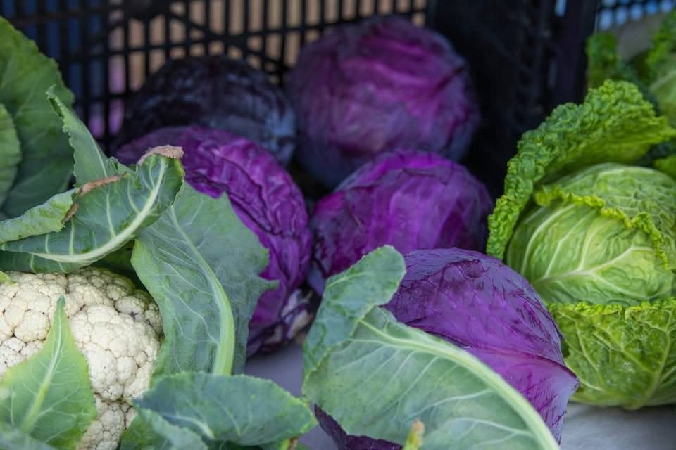 Denman Island Farmers Market in Denman Island