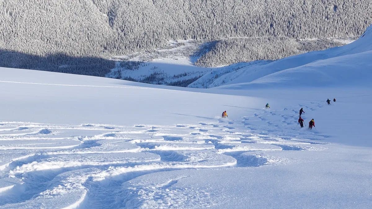 Sawback Alpine Adventures in Canmore · Calgary & the Rockies