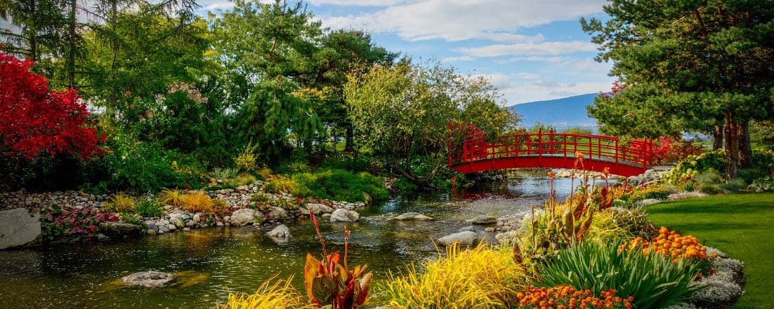 Masa's Grill at The Harvest Golf Club in Kelowna · Okanagan