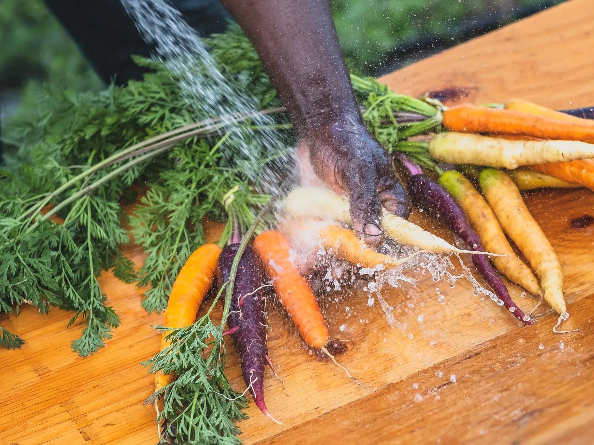 Klippers Organic Acres in Oliver · Okanagan