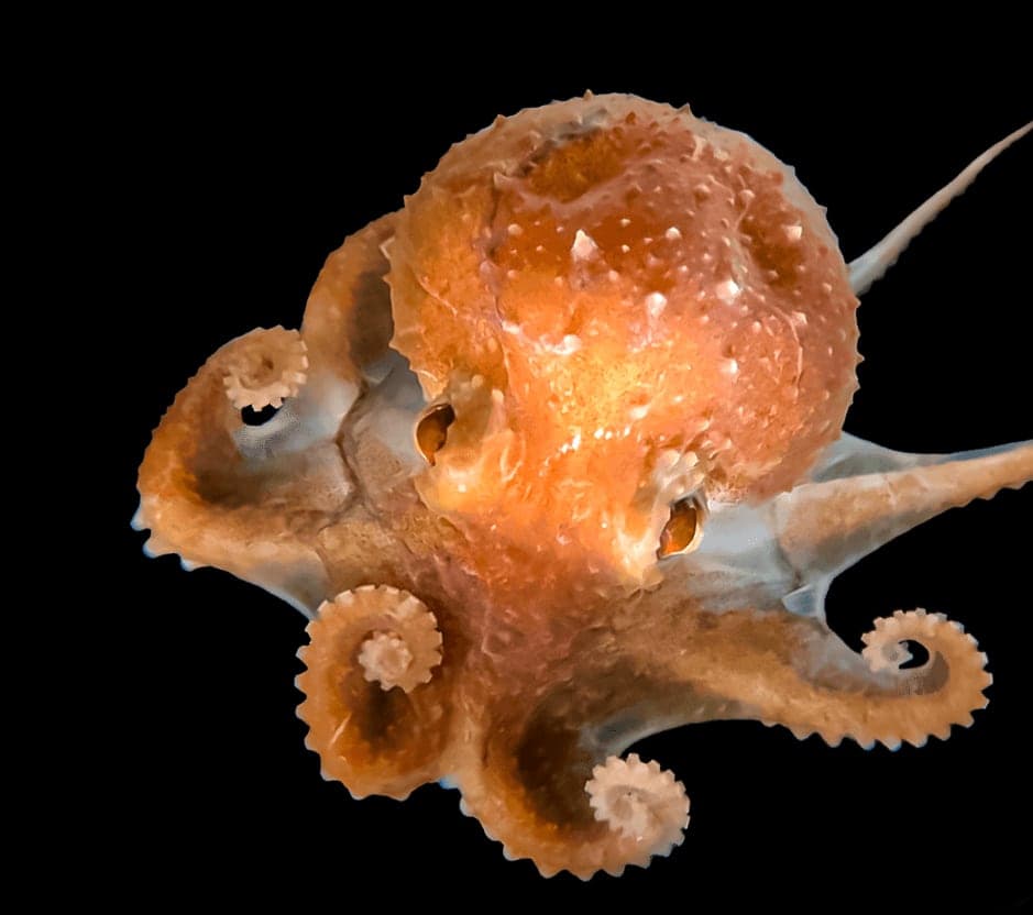 Beaty Centre for Marine Biodiversity in Halifax